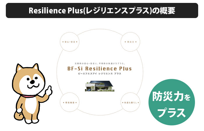 Resilience Plus(レジリエンスプラス)の概要