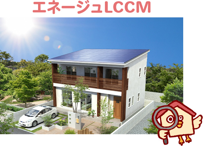 エネージュLCCMの坪単価とおすすめな人